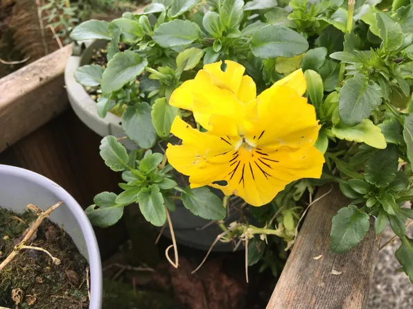 (undisclosed Address), Seattle, WA 98144