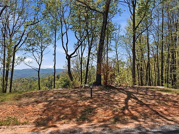 4th image of Lot 44 Wildcat Wilderness Parkway