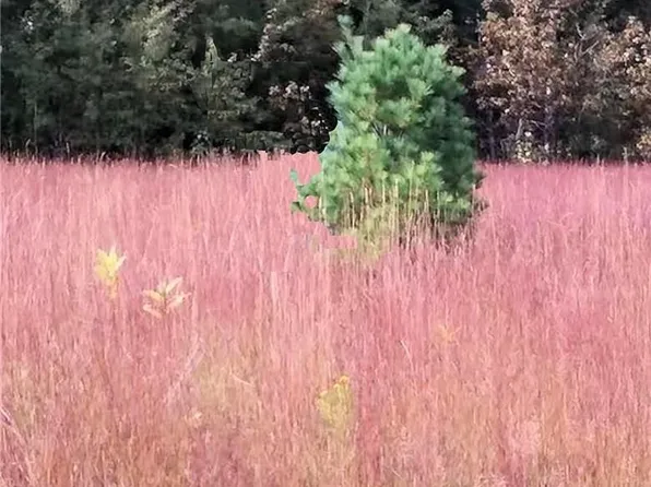 Westwood Dr, Oscoda, MI 48750