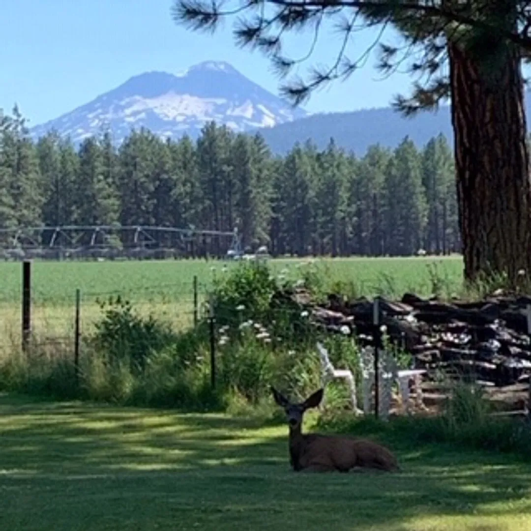 Live in Beautiful Sisters Oregon for the Winter — Photo 2