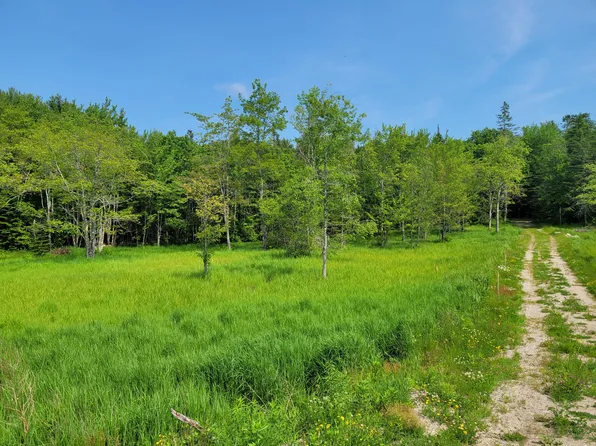 TBD Grist Mill Road, Franklin, ME 04634