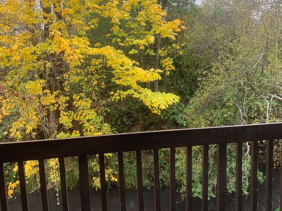 Living room deck over creek in the spring