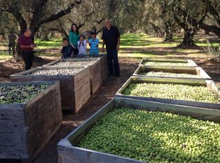 22221 S Olive Ave, Ripon, CA 95366