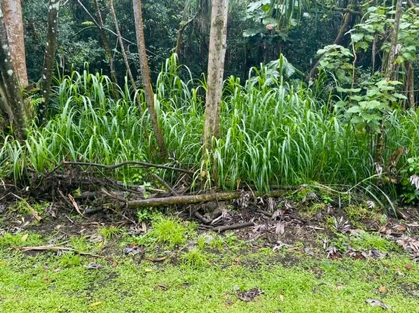 NENUE ST, Pahoa, HI 96778