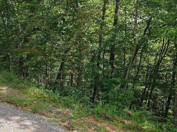 3rd image of 27 Shady Oaks Way Lot 27