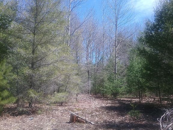 2nd image of Eagles Nest 10 Acres
