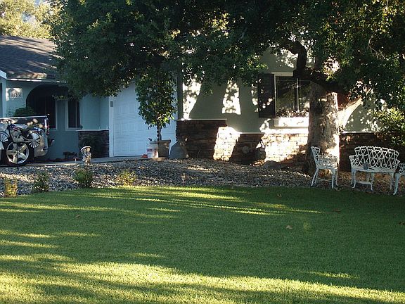 Front Yard-Sycamore and Oak
