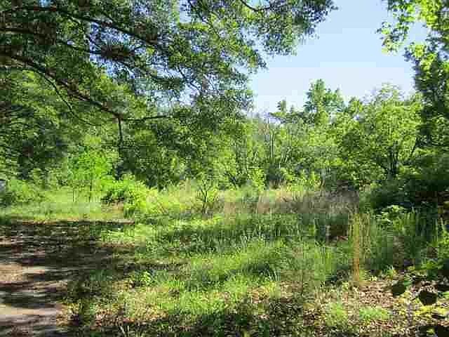 2nd image of 350 Bishop Rd
