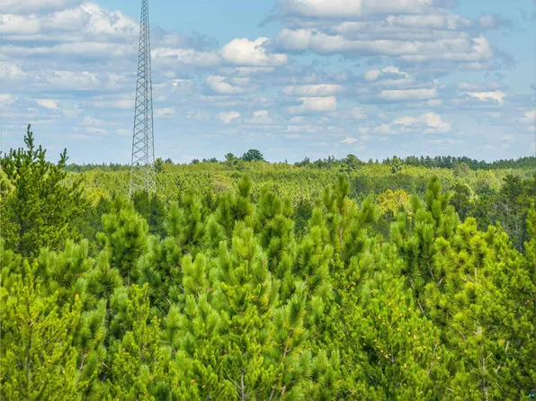 Tract D Highway 21, Babbitt, MN 55706-0000