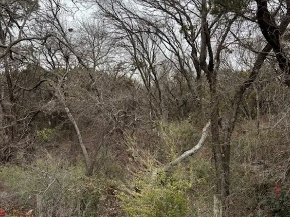 1717 Mansfield Rd, Cedar Hill, TX 75104