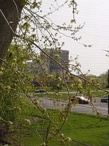 View of Roswell Park from Bedroom