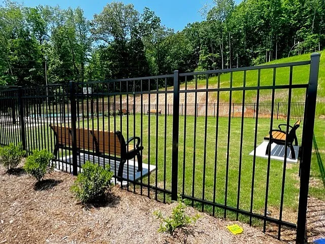45 Dyno Loop — Photo 27