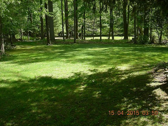 Flat back yard and Lawn