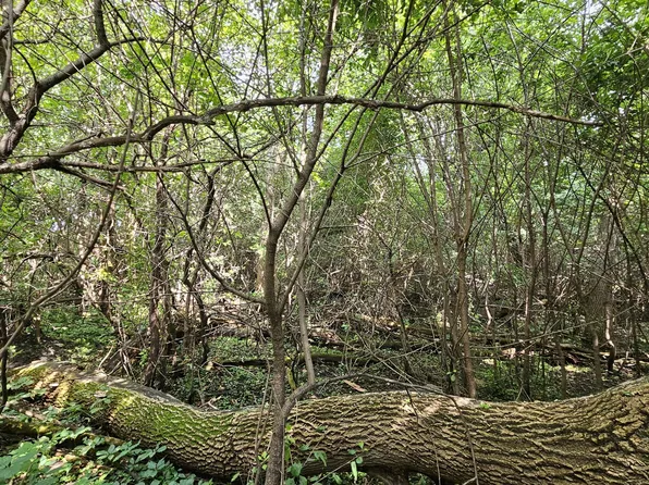 186th St, Castlewood, SD 57223