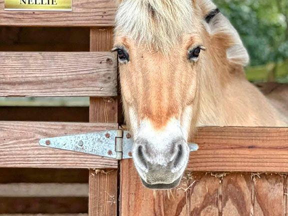 4th image of 1911 Mathison Rd