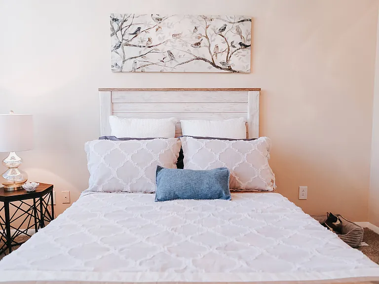 COMFORTABLE APARTMENTS FOR RENT IN KNOXVILLE, TN