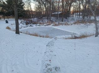 48 Island Rd, North Oaks, MN 55127