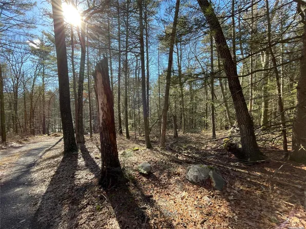 0 Deer Hill Road, Wurtsboro, NY 12790