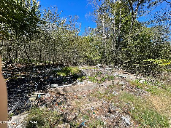 4th image of 166 Bush Mountain Dr