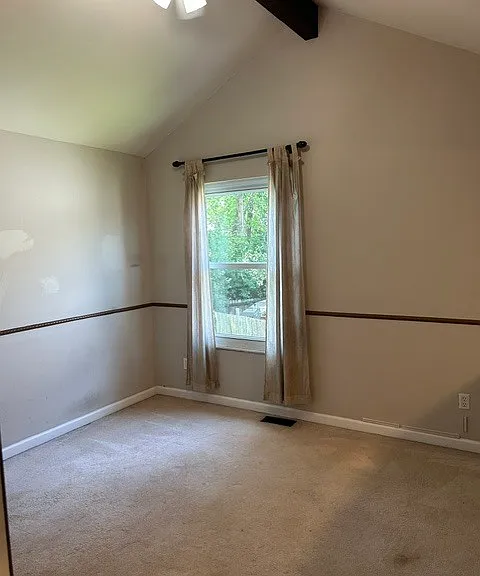 446 Down Hill Dr — Photo 12