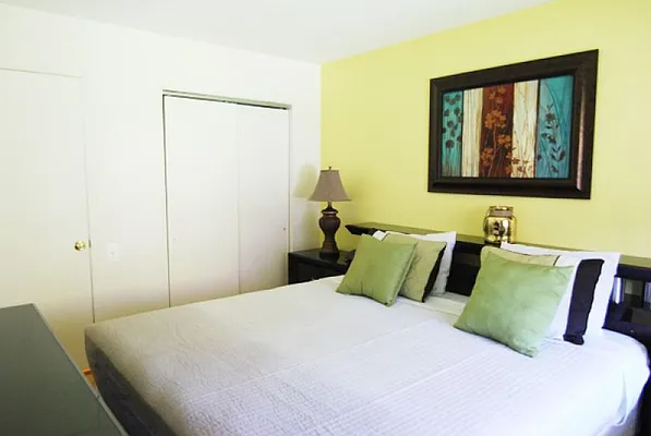 Rented by Eisenberg Exclusives | media 55