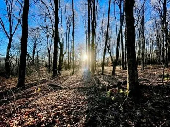 0 Town Line Rd, Mc Graw, NY 13101