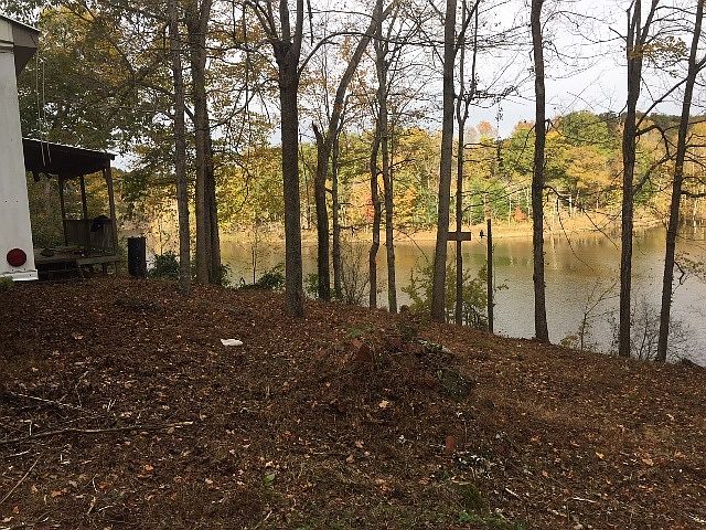 2nd image of 1243 Fentress Hideout Ln