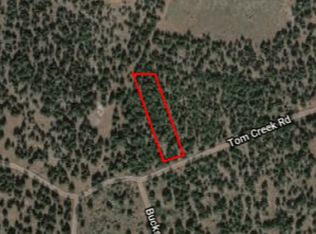 Tom Creek Rd, Alturas, CA 96101