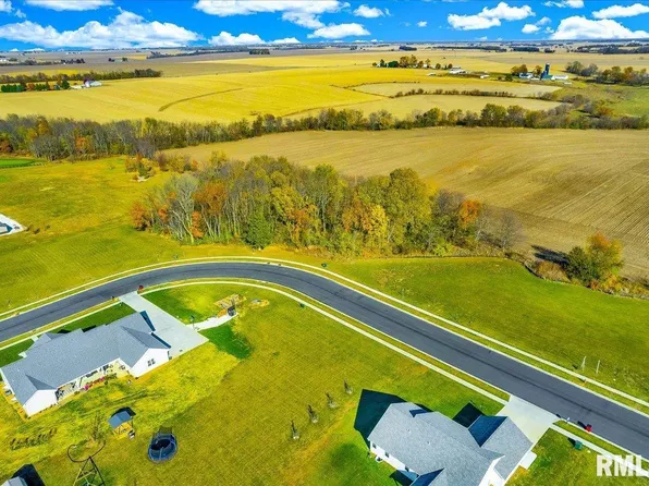 0 N Hickory Run, Elmwood, IL 61529