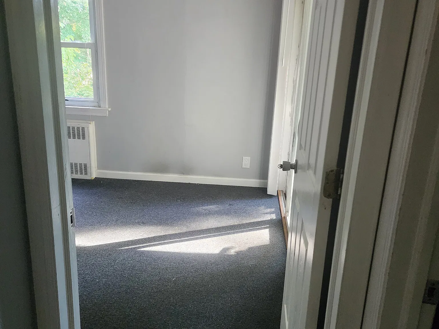 40 Roseville Ave — Photo 4