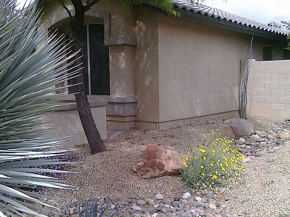 desert landscape