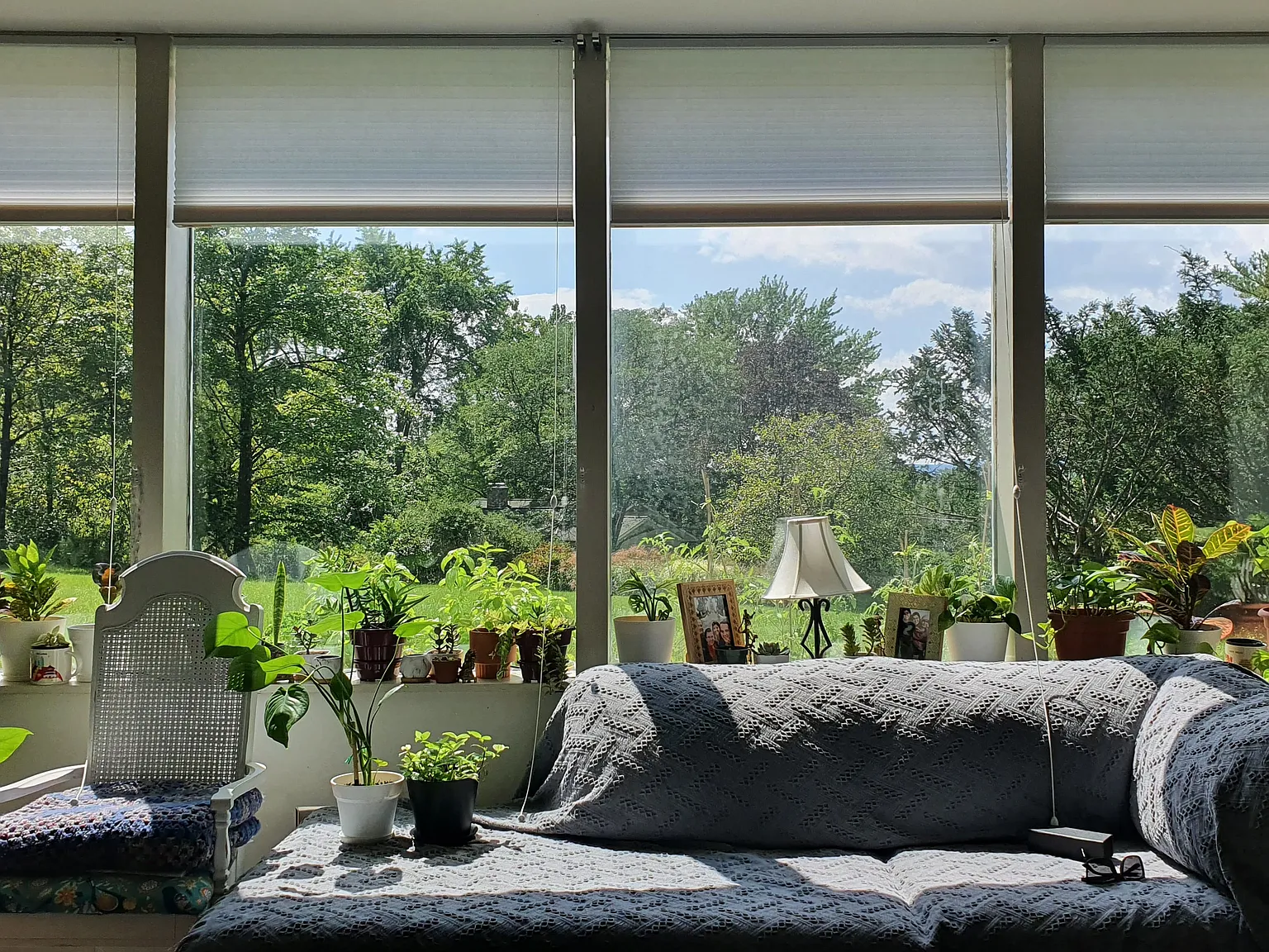 1 bed, 600 sqft, $1,575 — Photo 4