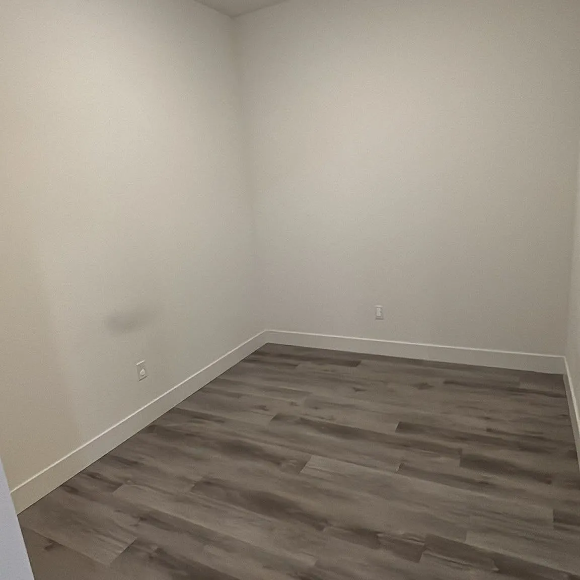 1101 Lackner Pl — Photo 4