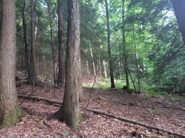 Off Bemis Hill Road #1004.000, Westminster, VT 05158