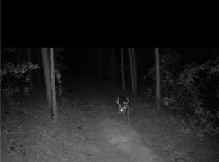 1 Hamilton Hill Rd, Booneville, AR 72927