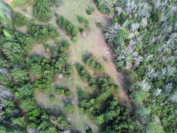 Dji Fly 20260401 171038 576 1775078218230 Photo Optimized