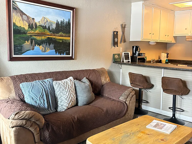 165 Old Mammoth Rd #27 — Photo 5