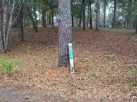 2nd image of 924 Heshbon Dr. Lot 535 Tidewater