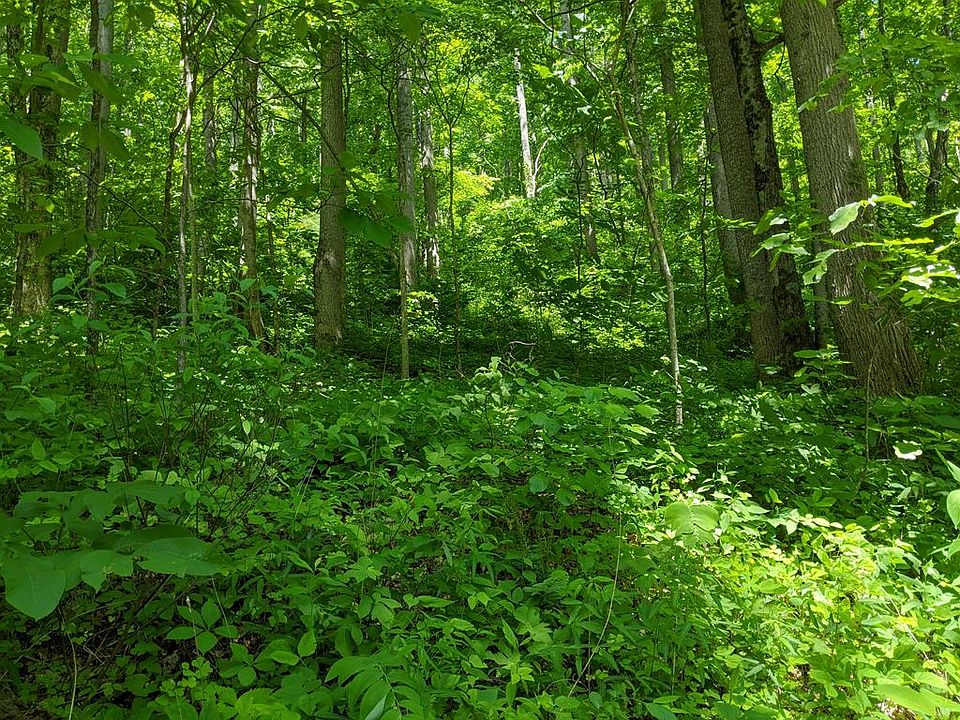 0 Thunderbird Rd Sylva NC Zillow