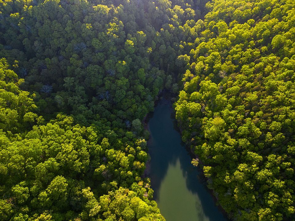 0 Charlie Melton Rd Allons, TN, 38541 Apartments for Rent Zillow