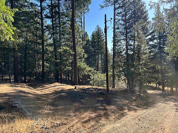 4th image of 13417 Patterson Creek Rd