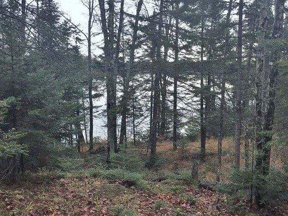 2nd image of Harris Creek Ln Lot 24