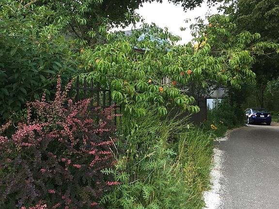 Driveway into back.
