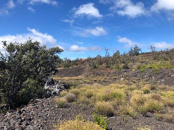 3rd image of Pineapple Pkwy Lot 28