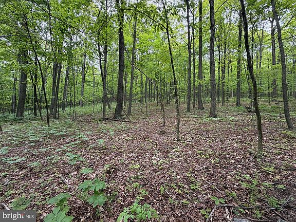 5th image of 55AC Main Rd