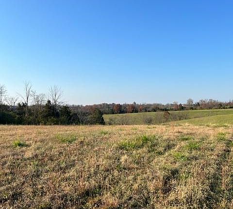 3rd image of LOT 4 Highway 491