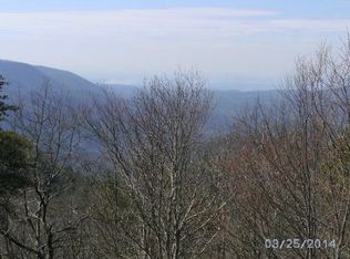 Tatum Lead Rd, Ellijay, GA 30540