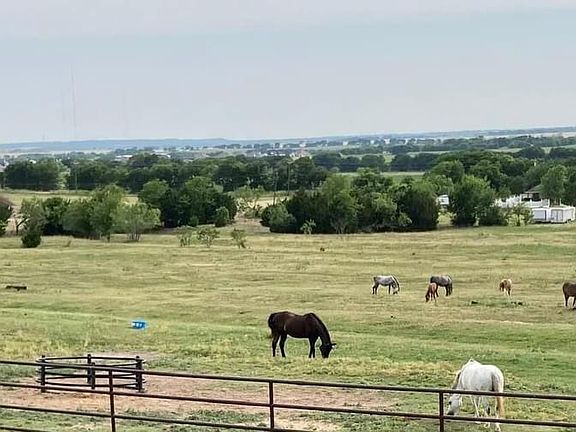 Peaceful pony farm.