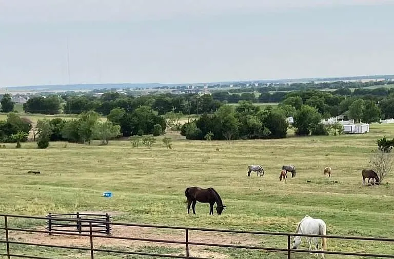 Peaceful pony farm.