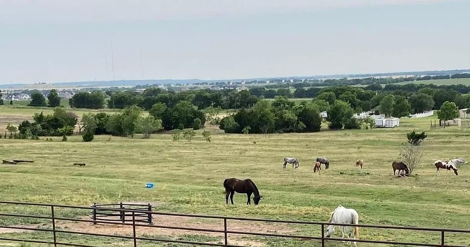 Peaceful pony farm.